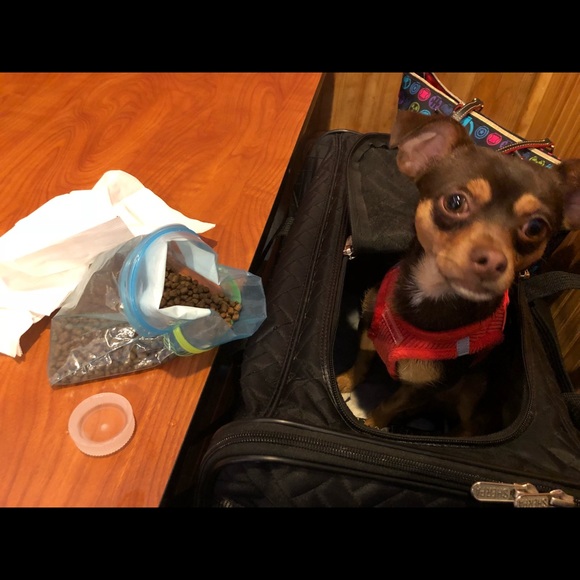 Meet your Posher, Danielle - Picture 15 of 16